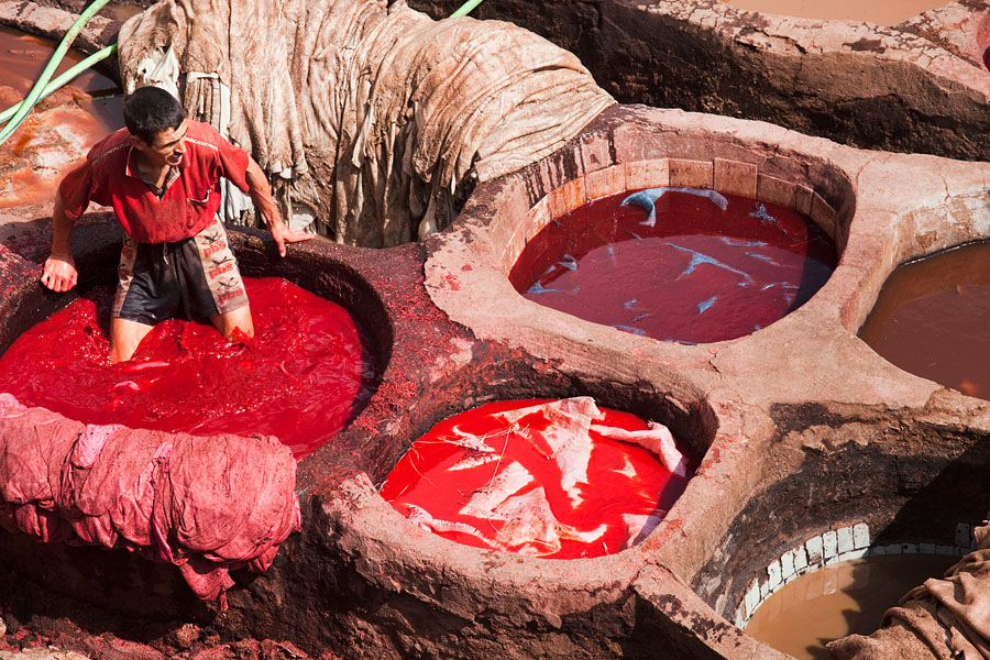  The tanneries of Fez   Morocco